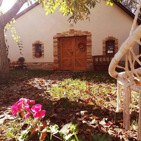 Góhér pince és vendégház Csaszartoltes Exterior foto